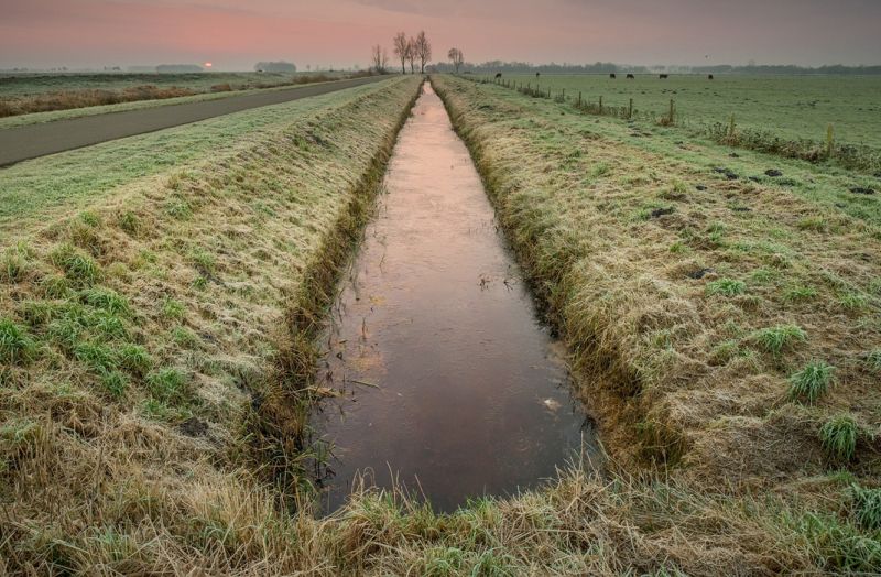 Застосування GNSS/RTK комплектів Геометр для проектування осушувально-зрошувальної системи земельних ділянок