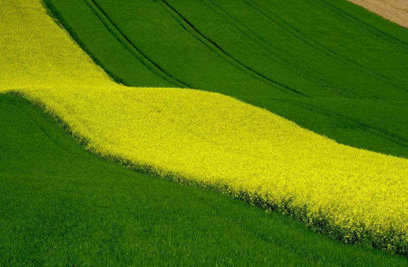 ГЕОМЕТР -  Карти в справі: Google Maps та інші